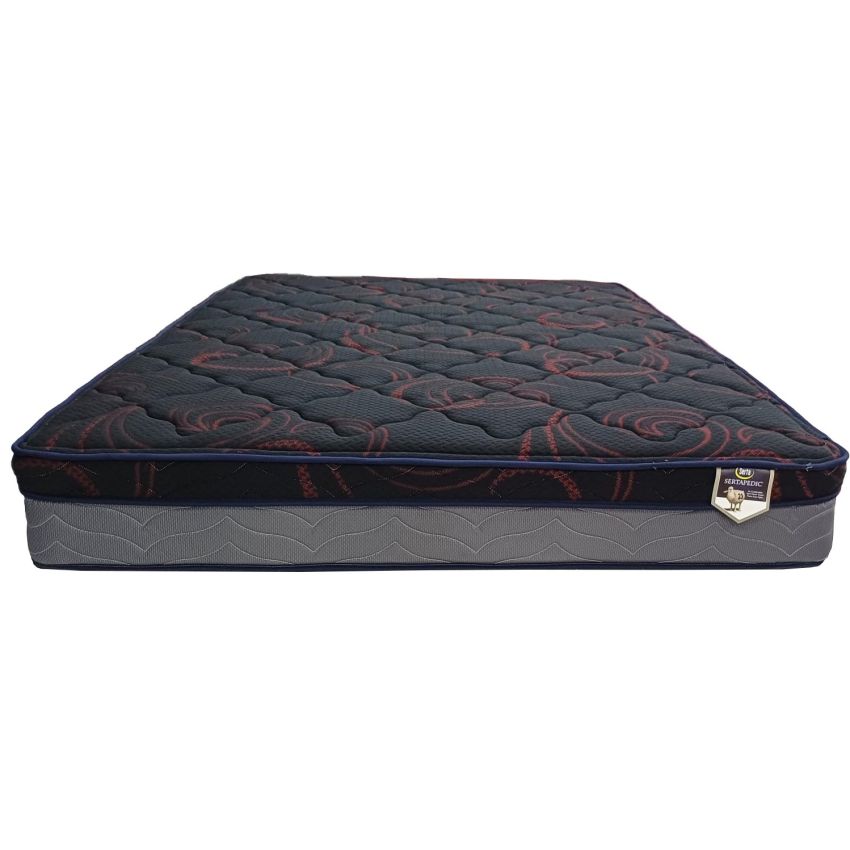 Serta Ortho Zone Queen 10 inch Pillowtop Mattress