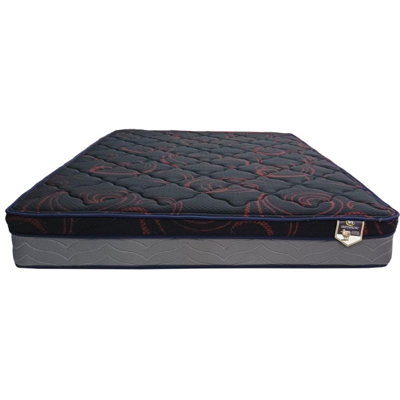 Serta Ortho Zone Queen 10 inch Pillowtop Mattress