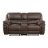 Proctor Brown Double Reclining Loveseat